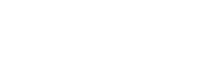 Nye Authority